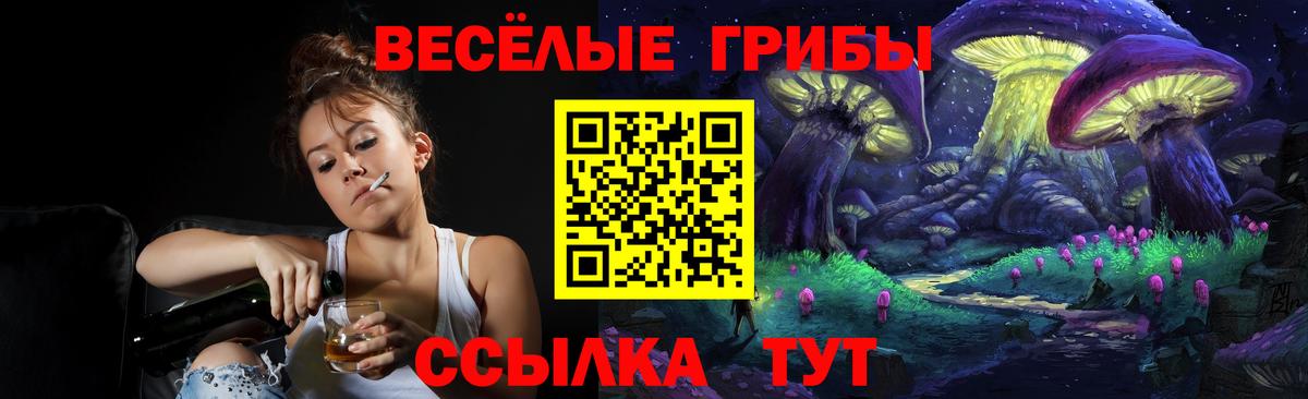 Галлюциногенные грибы Cubensis  Вход с VPN  цена наркотик  Серов 